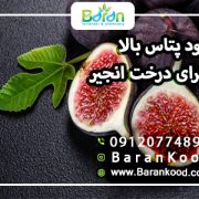 کود پتاس بالا