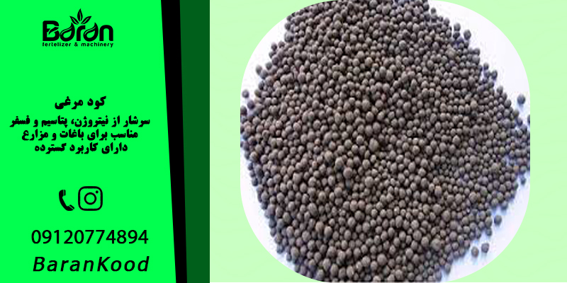 کود مرغی با کیفیت بی نظیر