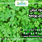 کود مرغی برای یونجه