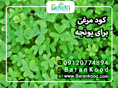 کود مرغی برای یونجه