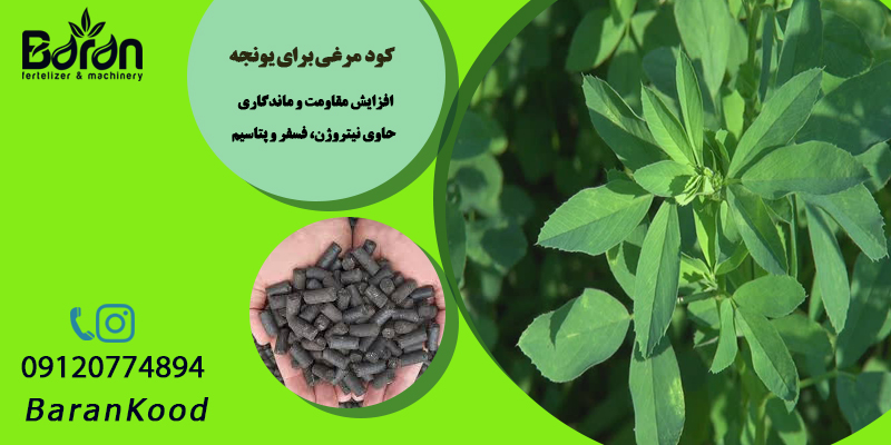 کود مرغی برای یونجه