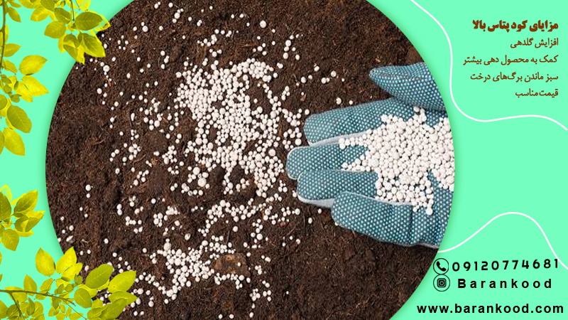 کود پتاس بالا 