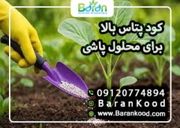کود پتاس بالا