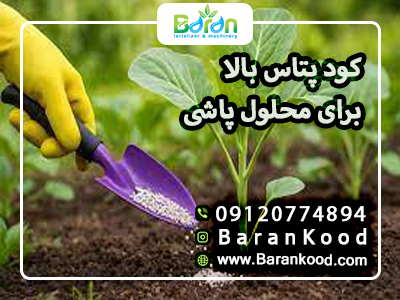 کود پتاس بالا