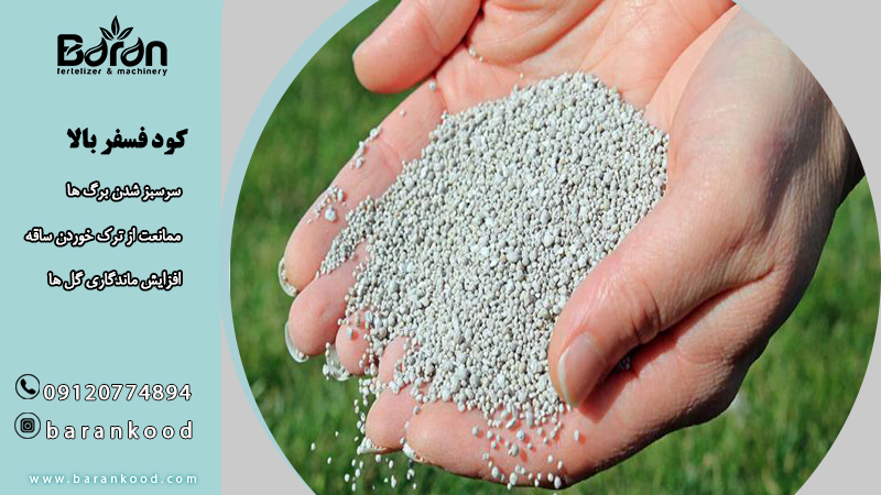 خواص کود فسفر بالا