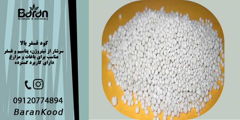 کود فسفر بالا