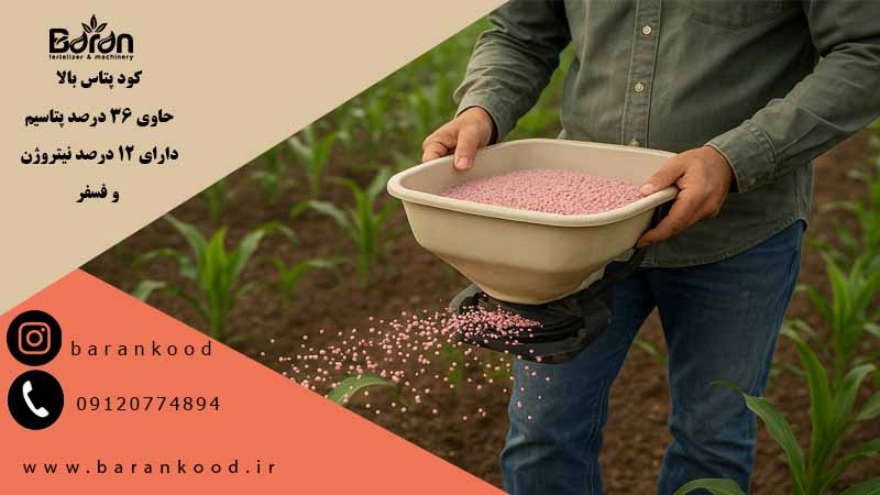 کود پتاس بالا